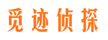 会同外遇调查取证